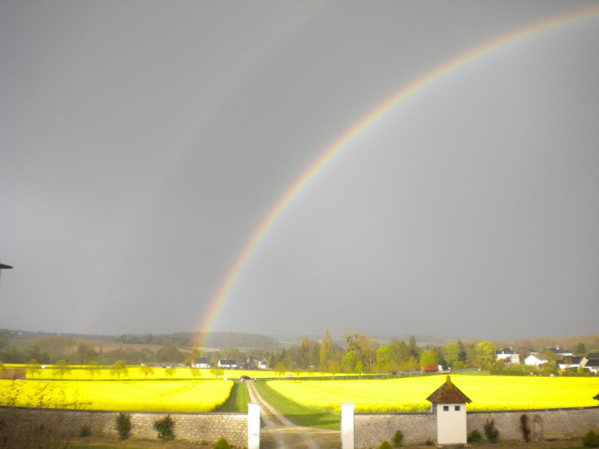 Domaine De La Maison Neuve Saint-Jean-Saint-Germain Екстериор снимка