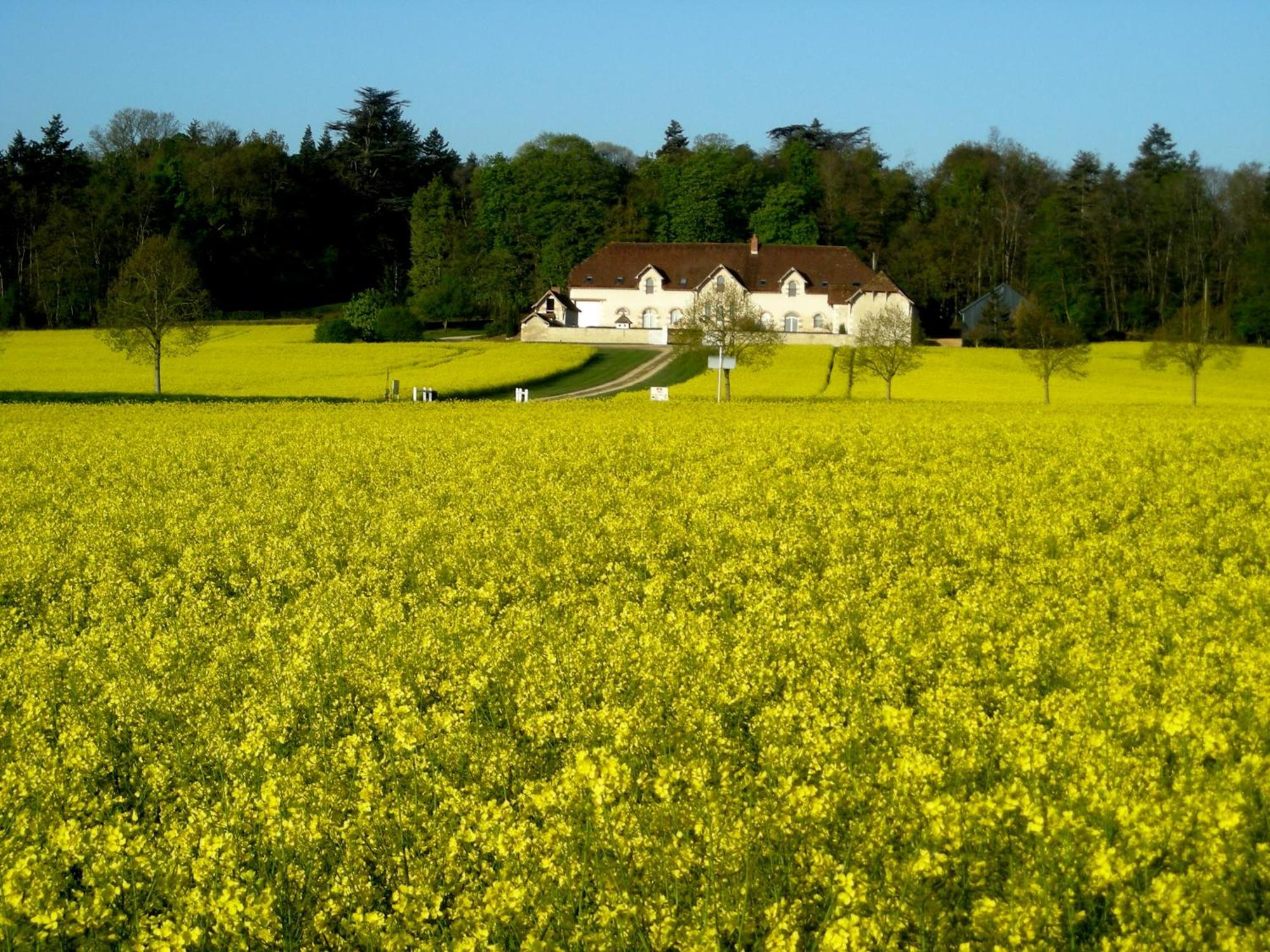 Domaine De La Maison Neuve Saint-Jean-Saint-Germain Екстериор снимка